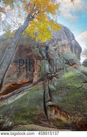 Forest And Ancient Rocks Of Dovbush In Bubnishche In The Carpathian Mountains. Foggy Wheather.  Loca
