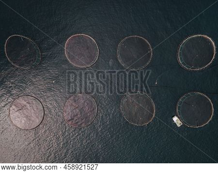 Off Shore Salmon Cages In The Faroe Islands