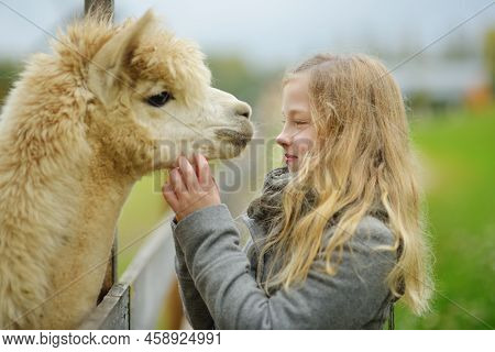 Cute Young Girl Stroking An Alpaca At A Farm Zoo On Autumn Day. Child Feeding A Llama On An Animal F