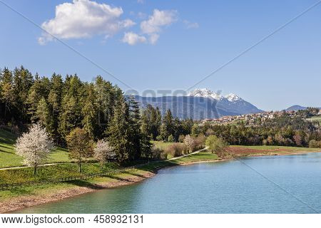 Lake Coredo (lago Di Coredo), Nearby Mountains With Snowy Peaks, Coniferous Forest, Flowering Apple 
