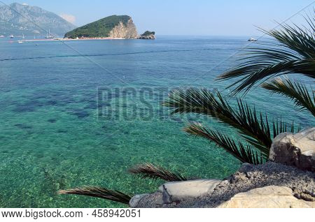 Montenegro, Budva. Sea View. In The Foreground Is A Photo Of A Palm Tree.