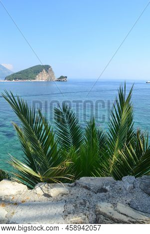 Montenegro, Budva. Sea View. In The Foreground Is A Photo Of A Palm Tree.