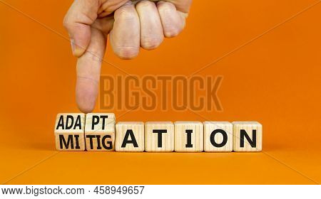 Adaptation Or Mitigation Symbol. Businessman Turns Cubes And Changes The Concept Word Mitigation To 