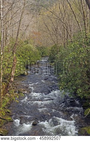 Rushing Waters In A Mountain Stream On Noland Creek In The Great Smoky Mountains In North Carolina
