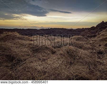 Pile Of Manure On An Agricultural Field For Growing Agricultural Products