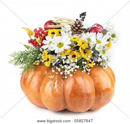 Beautiful autumn composition in pumpkin isolated on white