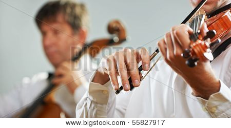 Violinist