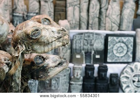Bolivia, La Paz, Witches Market