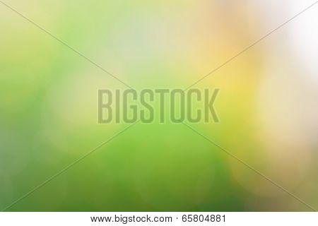 Beautiful Nature Green Bokeh Blurred Background