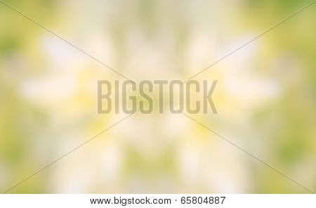 Beautiful Nature  Bokeh Blurred Background