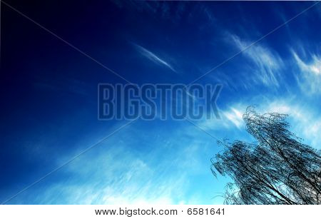 Árvore e céu conceitual