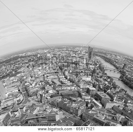 Frankfurt Am Main Panorama