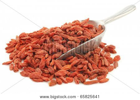dried goji berries(Lycium Barbarum - Wolfberry)  on an aluminum scoop on white background