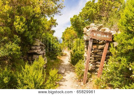 Signpost For A Sellula Near Nonza In Corsica