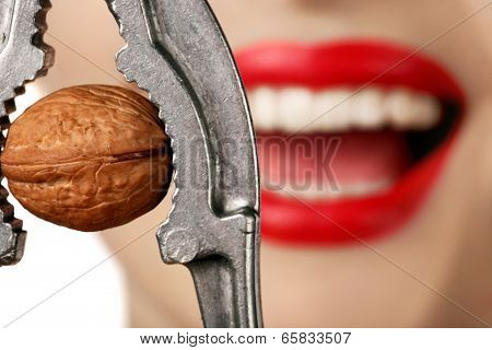 Woman With Nutcracker