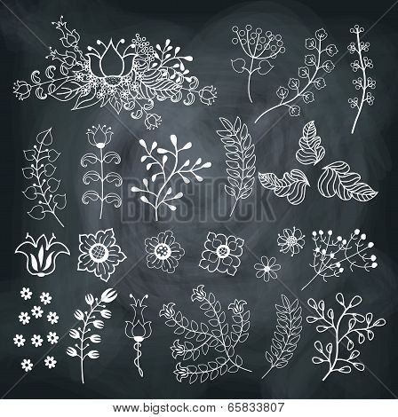 Vector  Flowers Set  On School Board