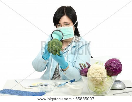Expert Carefully Inspecting A Broccoli In Laboratory