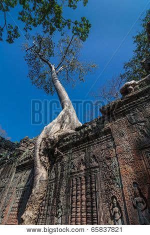 Preah Khan temple, Siem Reap, Cambodia