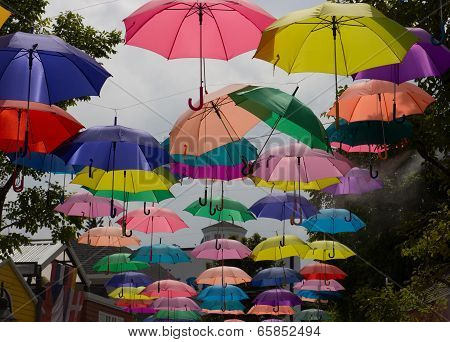 Colorful Umbrella