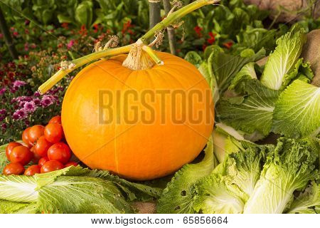 Pumpkin With Tomato And Cabbage