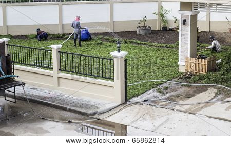 Worker Planting Lawn Yard