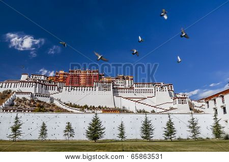 Potala Palace In Lhasa