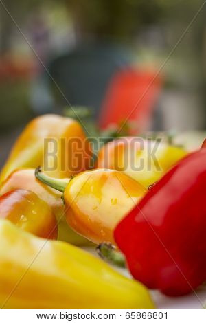 Organic Pepper