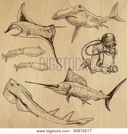 Underwater, Sea Life (vector Set No.3) - Hand Drawn