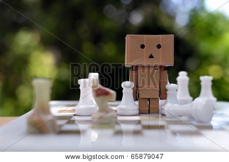 Boxman like chess