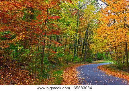 US National Arboretum in the Fall Washington DC.