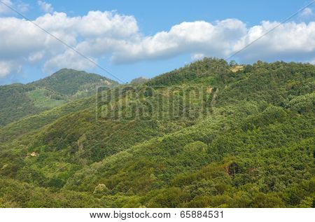 woodland of Devil's Town in southern Serbia 