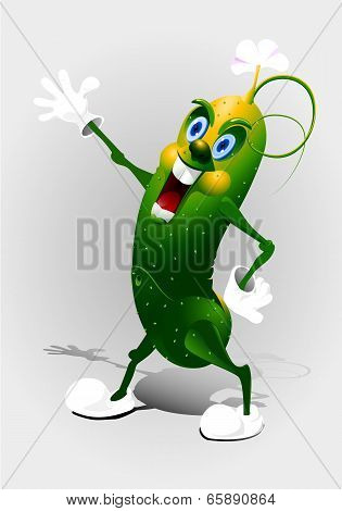 Cucumber