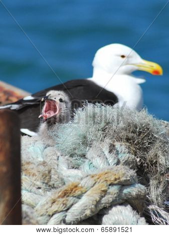 Noisy Offspring
