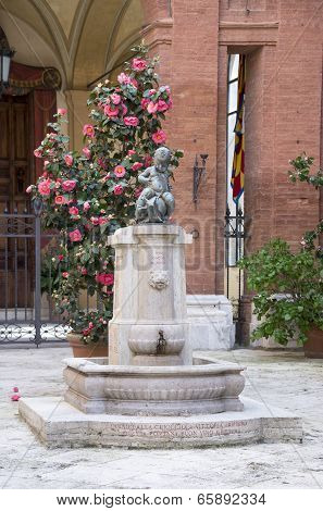 Drinking Fountain With A Figure Of A Boy On The Cochlea. Siena