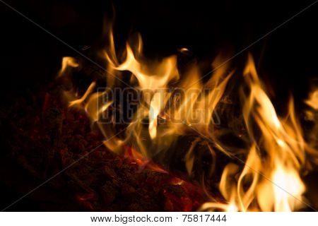 flame fire