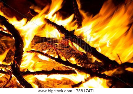 flame fire