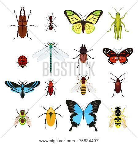 Insects icons set