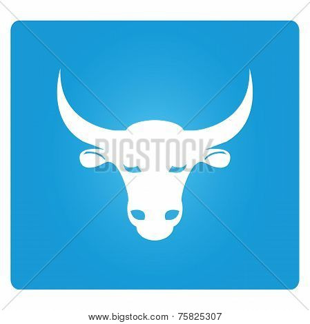 bull
