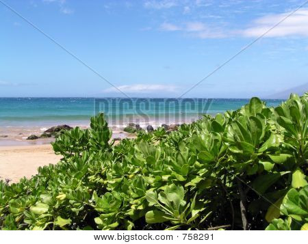 friedlichen Strand