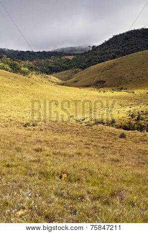 Horton Plains National Park. Sri Lanka