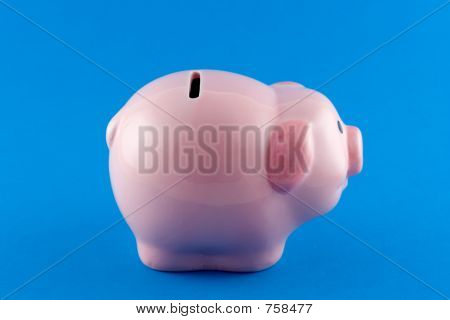 Sparschwein Seite auf