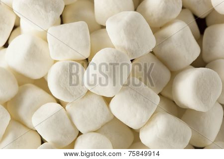 White Mini Marshmallows In A Bowl