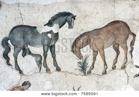 Cavalli, mosaico da Istanbul