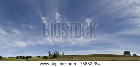 Panoramic New Zealand farmland scene