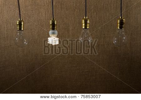 Hanging Cfl And Incandescent Bulbs