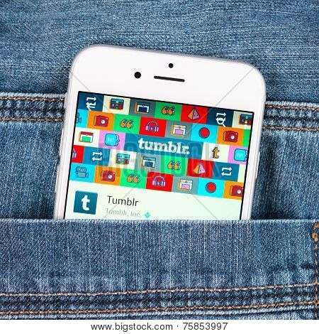Silver Apple Iphone 6 Displaying Tumblr Application