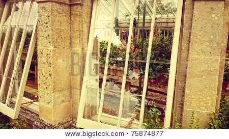 Green house,view from the window