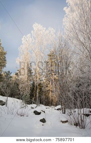 wintertime