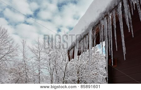 Winter Scene With Icicles
