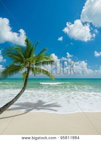 View of Chaweng beach, Koh Samui (Samui Island), Thailand